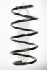 SPIDAN 55313 Coil Spring